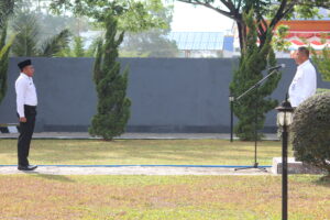 hari pahlawan 2019 aku pahlawan masa kini bnn kota kendari